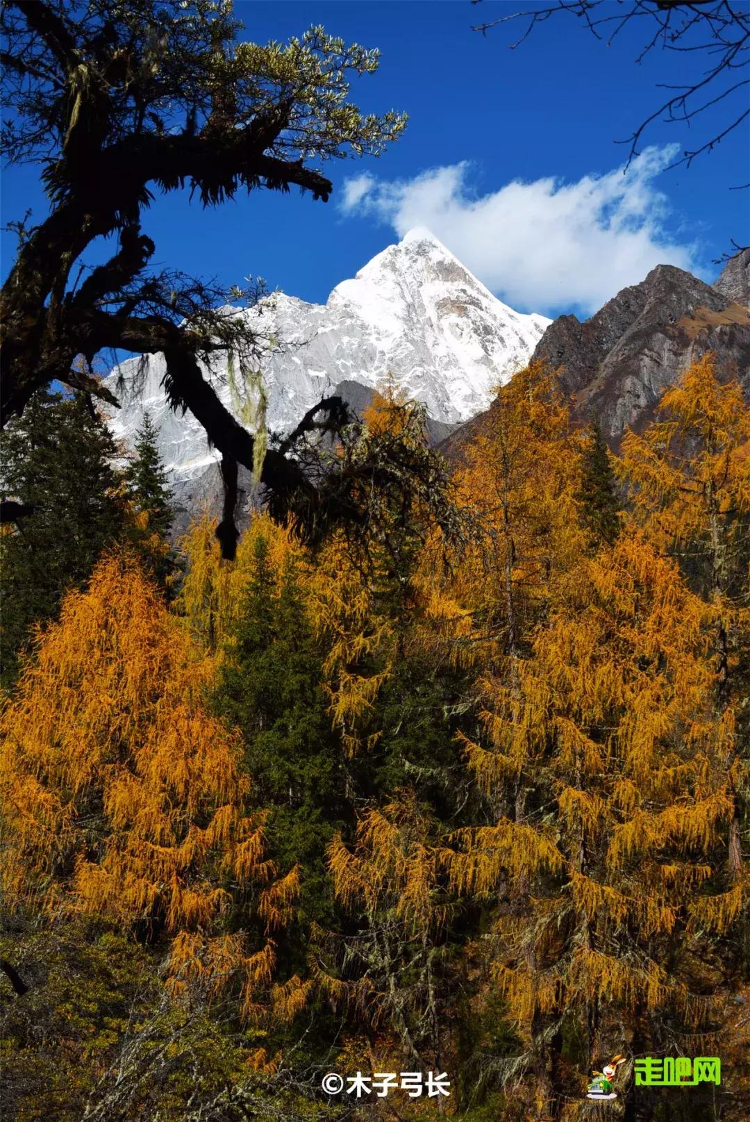 8条进藏绝美公路现在路况如何,一条绝美的进藏公路