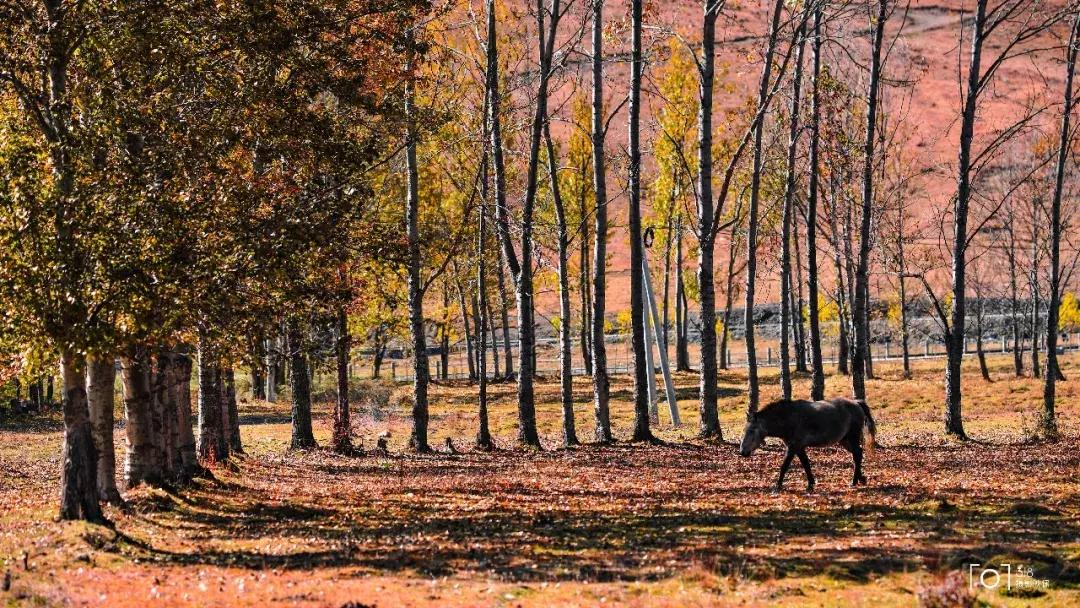 8条进藏绝美公路现在路况如何,进藏哪条路线风景最好