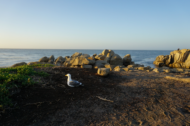 美国纽约自驾游最佳路线图,美国西部大环线自驾游攻略