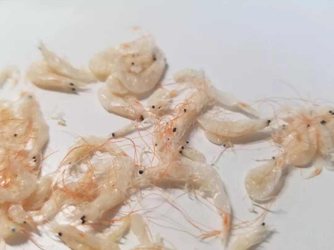 虾皮特级无盐补钙儿童,含钙量最高的食物排名虾皮和牛肉