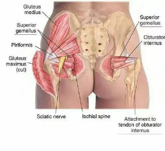 探索女人内心奥秘,探索女性内心深处