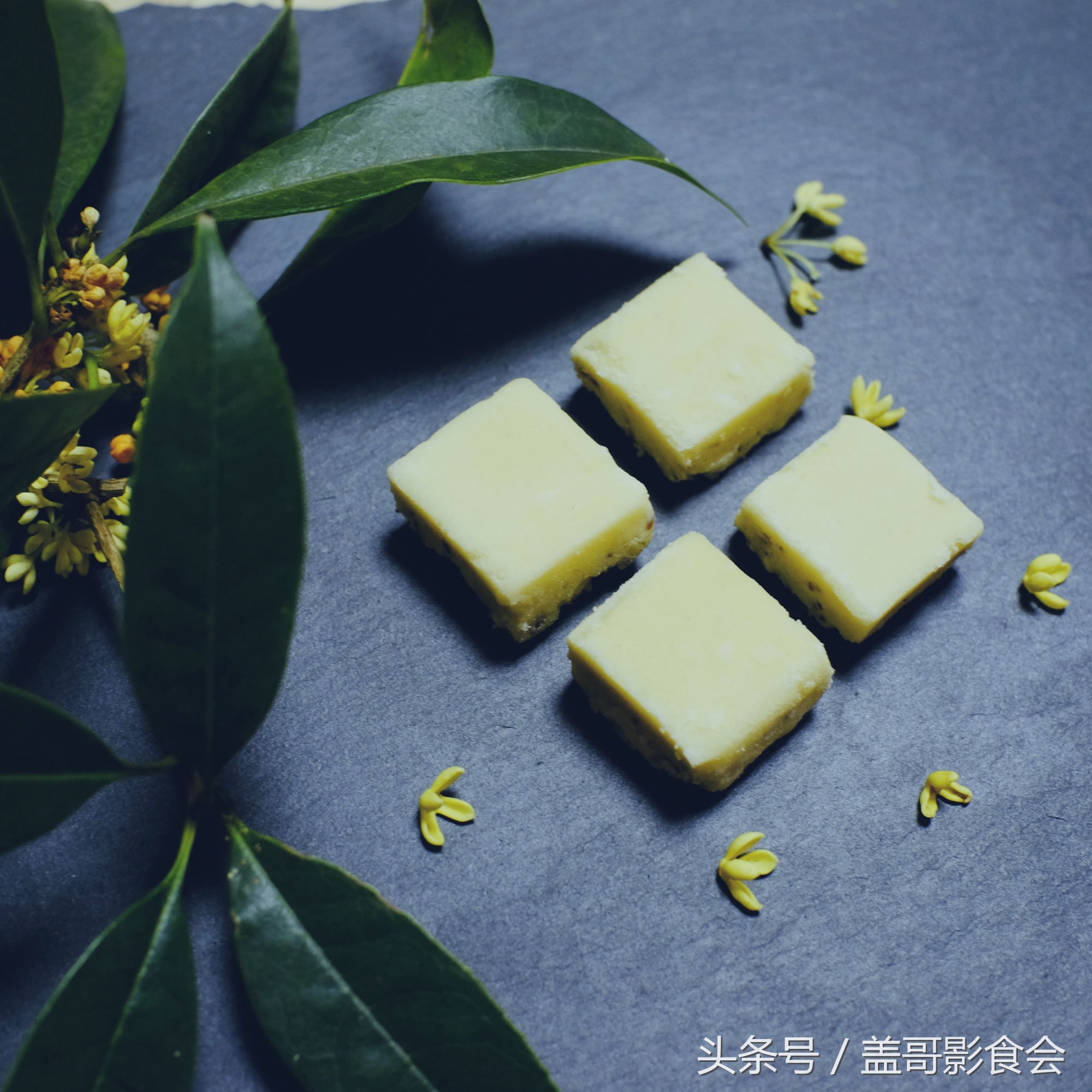 又到了吃桂花酒酿的季节了,又到了做桂花米酒的季节