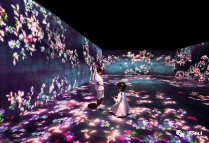 武汉到厦门自由行3-4天攻略,厦门鼓浪屿旅游攻略自由行攻略