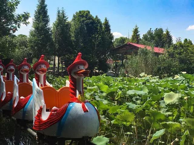 跟着萌宠过国庆，准备好迎接惊喜了吗？