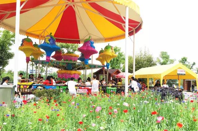 跟着萌宠过国庆，准备好迎接惊喜了吗？