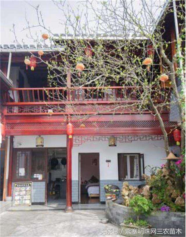 宏村古镇旅游攻略住宿,宏村婺源景德镇旅游攻略