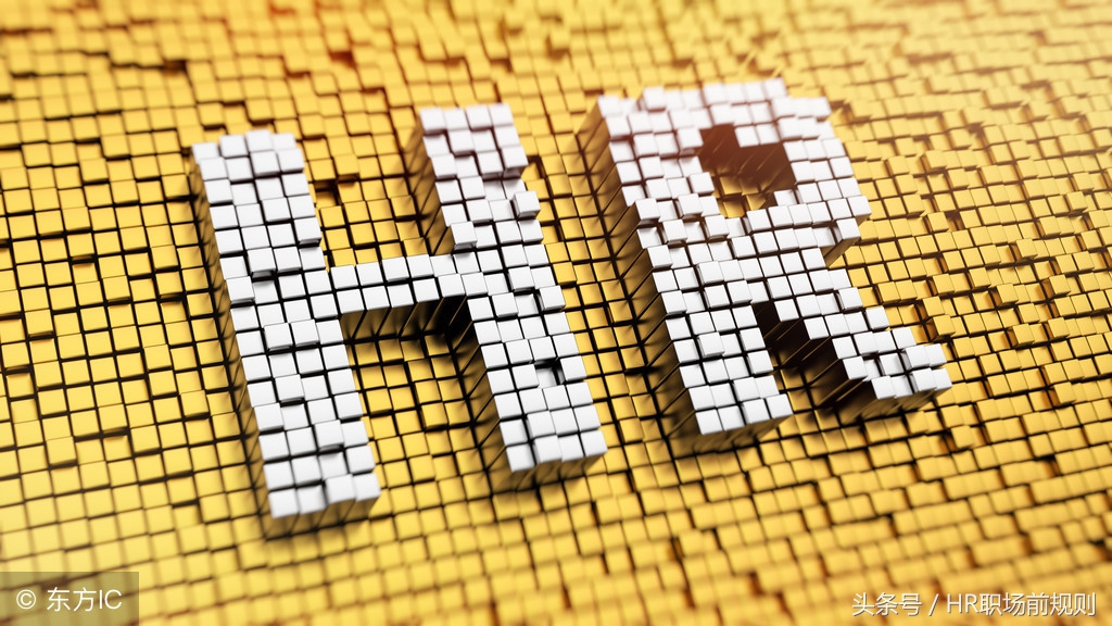 hr经理做什么,普通hr与总监的差距