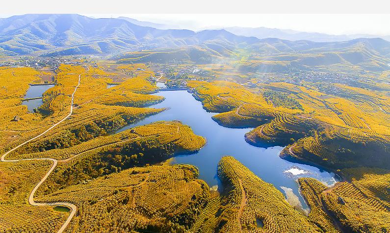 “可以吃的雅诗兰黛”？当季正大量上市，女性朋友特别注意了