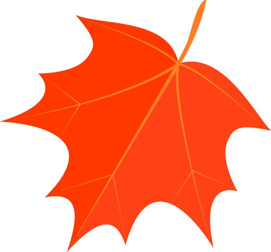 产科优秀护理集体,妇产科优秀护理团队