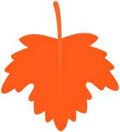 「优秀教学团队」妇产科：师徒相携，薪火相传