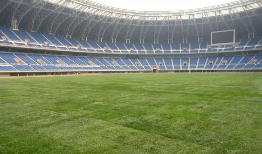 天津泰达最后两个主场,近期泰达主场