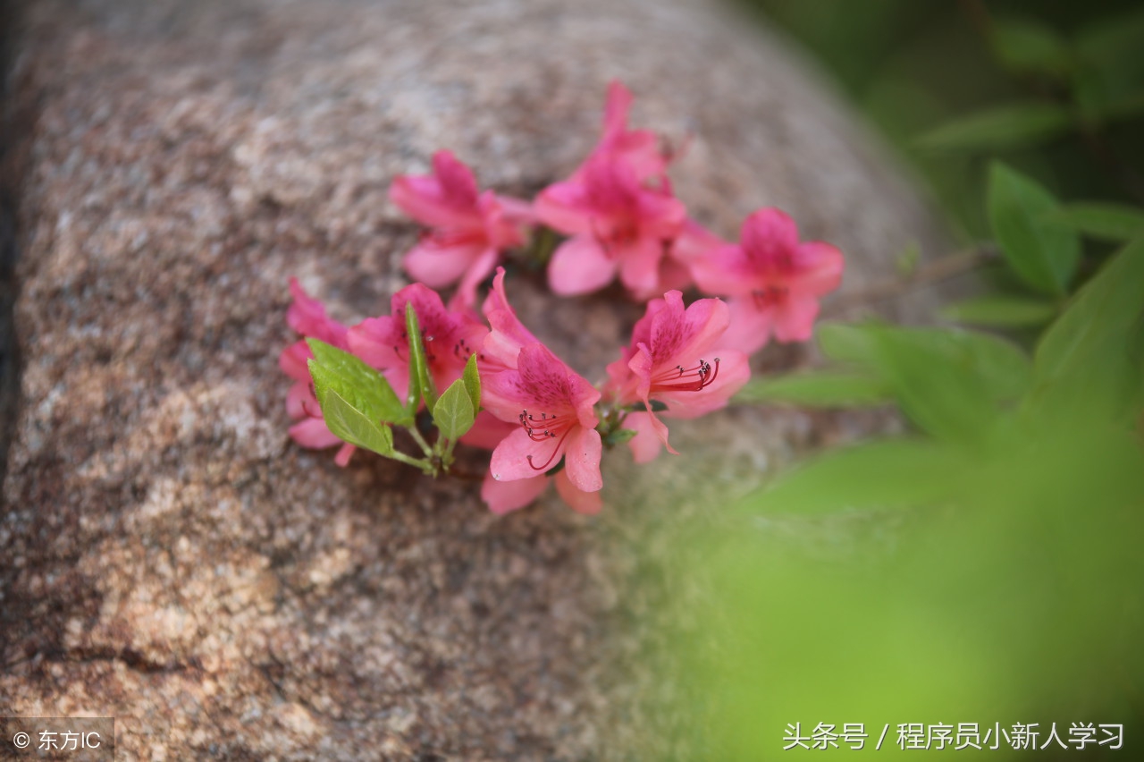 bash参数个数,bash执行返回值