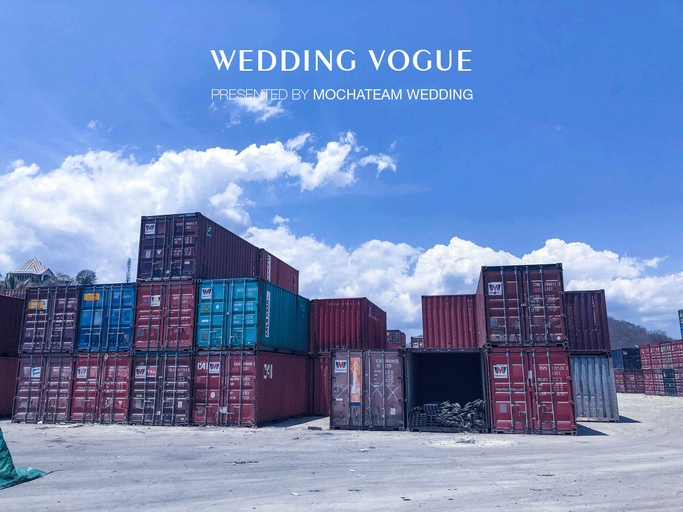 杨烁和王黎雯婚礼视频完整版,杨烁王黎雯婚礼现场全部视频