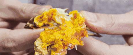 藜麦——碧昂斯靠它瘦了50斤的超级食物！｜双11砍价大优惠