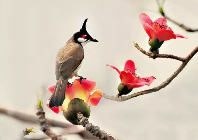 万物之间的相生相克,自然界中的万物相生相克