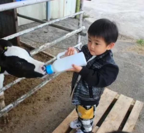 济州岛一年往返12次,到济州岛旅行行程