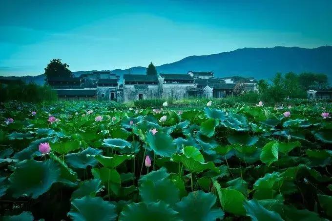 徽州黄山古村落民宿,黄山值得住的古村落