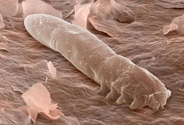 真的火了很多年的luna洁面仪,luna洁面仪韩国版