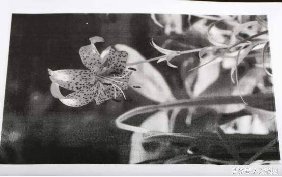 生产型黑白激光打印机推荐,兄弟2595激光打印机