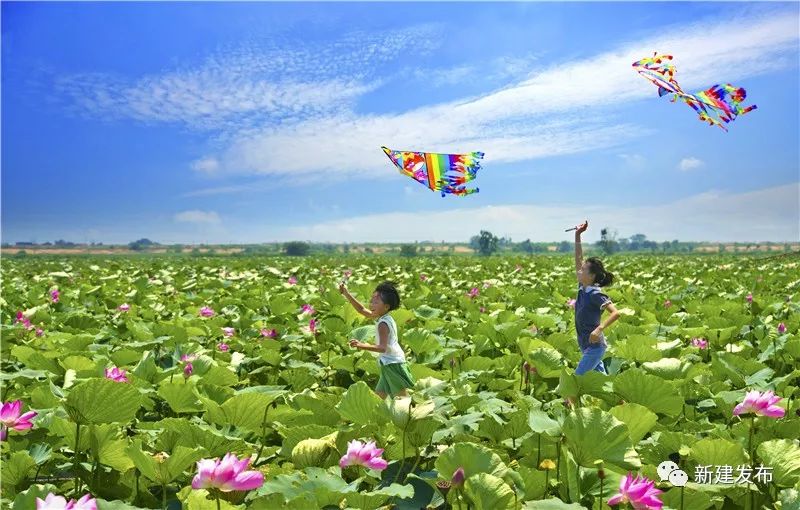 南昌新建区重要消息,南昌县撤县设区消息