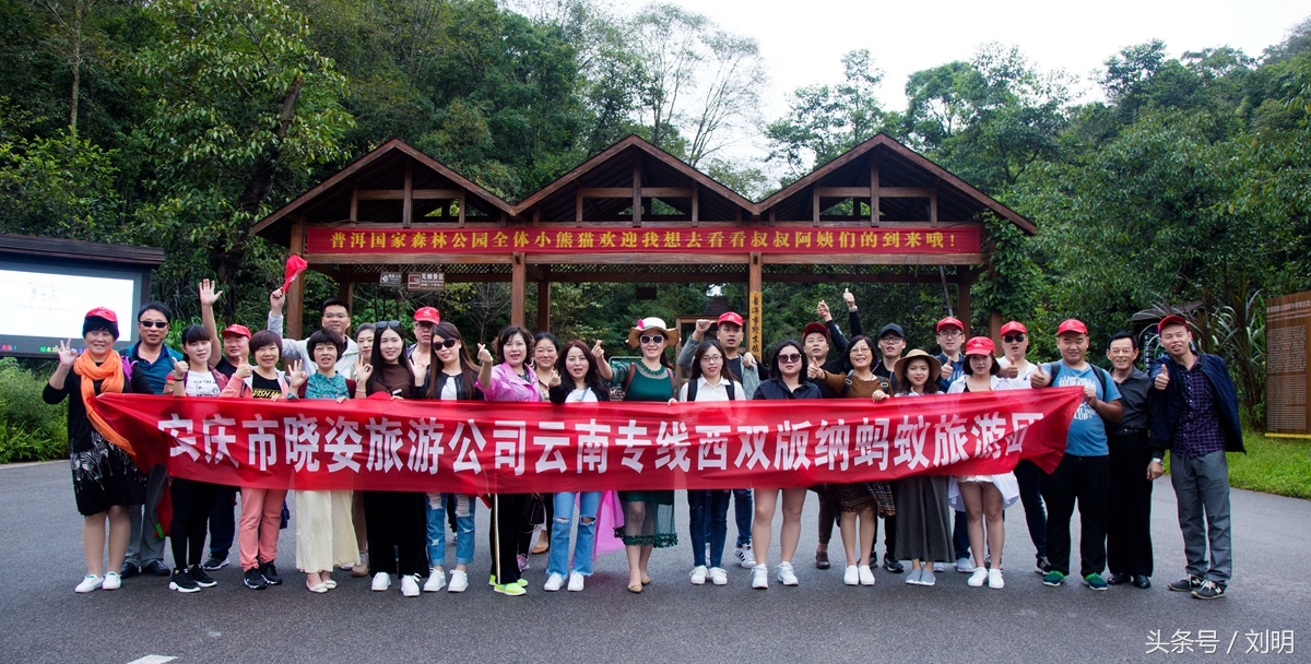 蚂蚁旅游专线云南之旅,蚂蚁旅游行