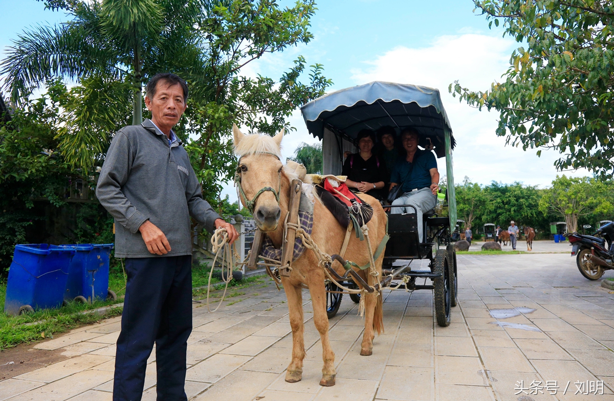 蚂蚁旅游专线云南之旅,蚂蚁旅游行