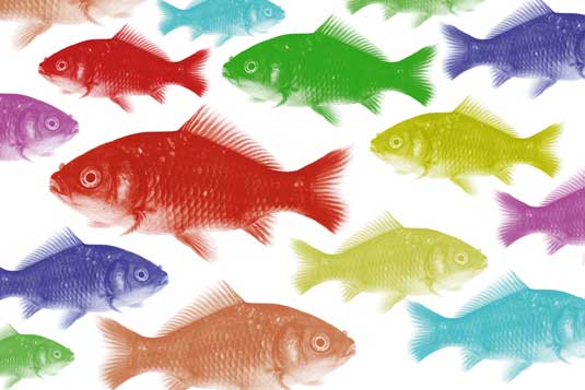 干货100条photoshop使用技巧,photoshop120条新手必备技巧