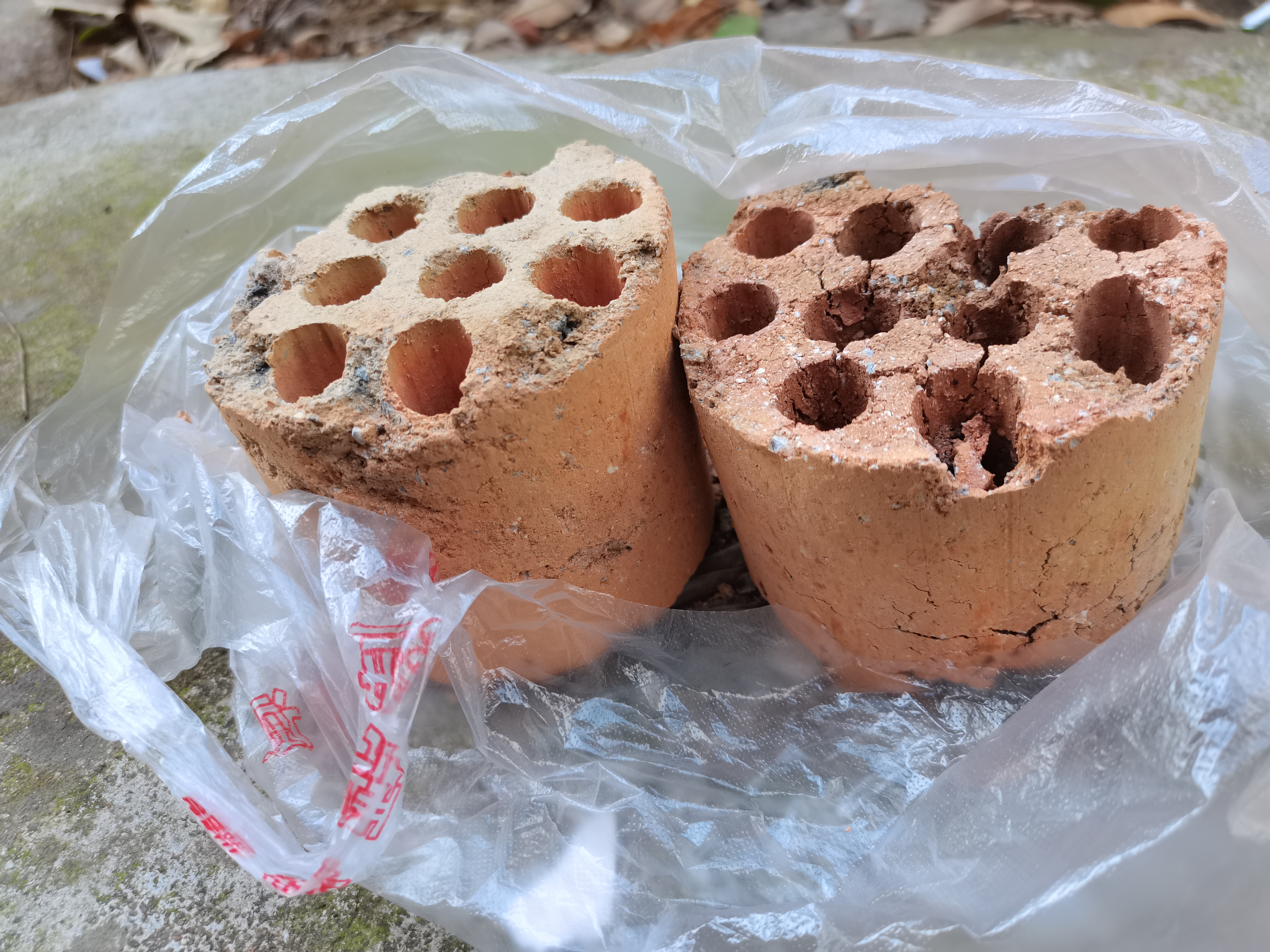 燃烧完的煤球可以养什么花,燃烧后的灰烬可以养花吗