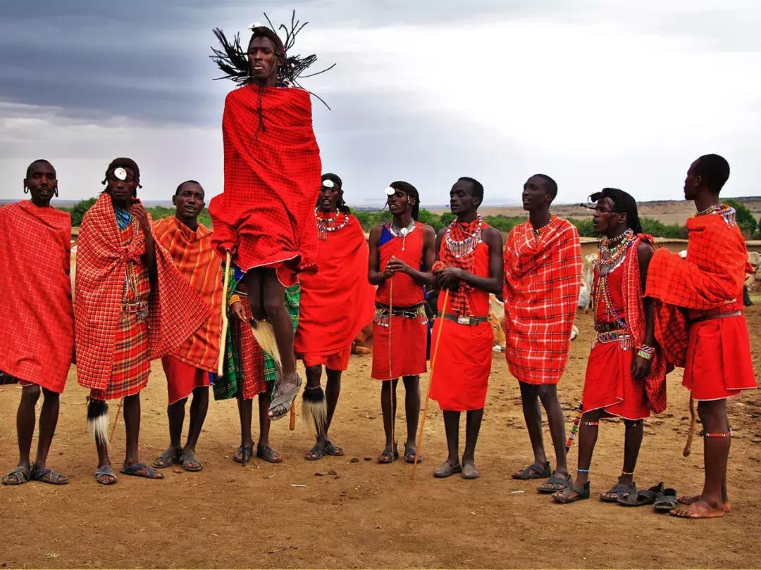 非洲丨生命大迁徙的狂奔之旅