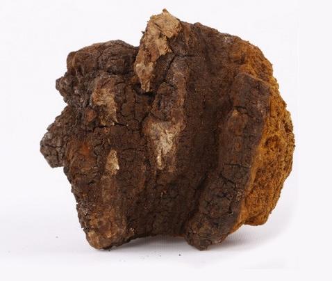 这东西你听过但你肯定没见过