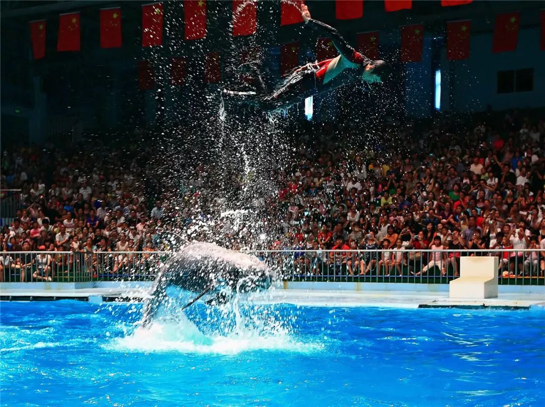 中秋没地方玩,中秋没地方旅游