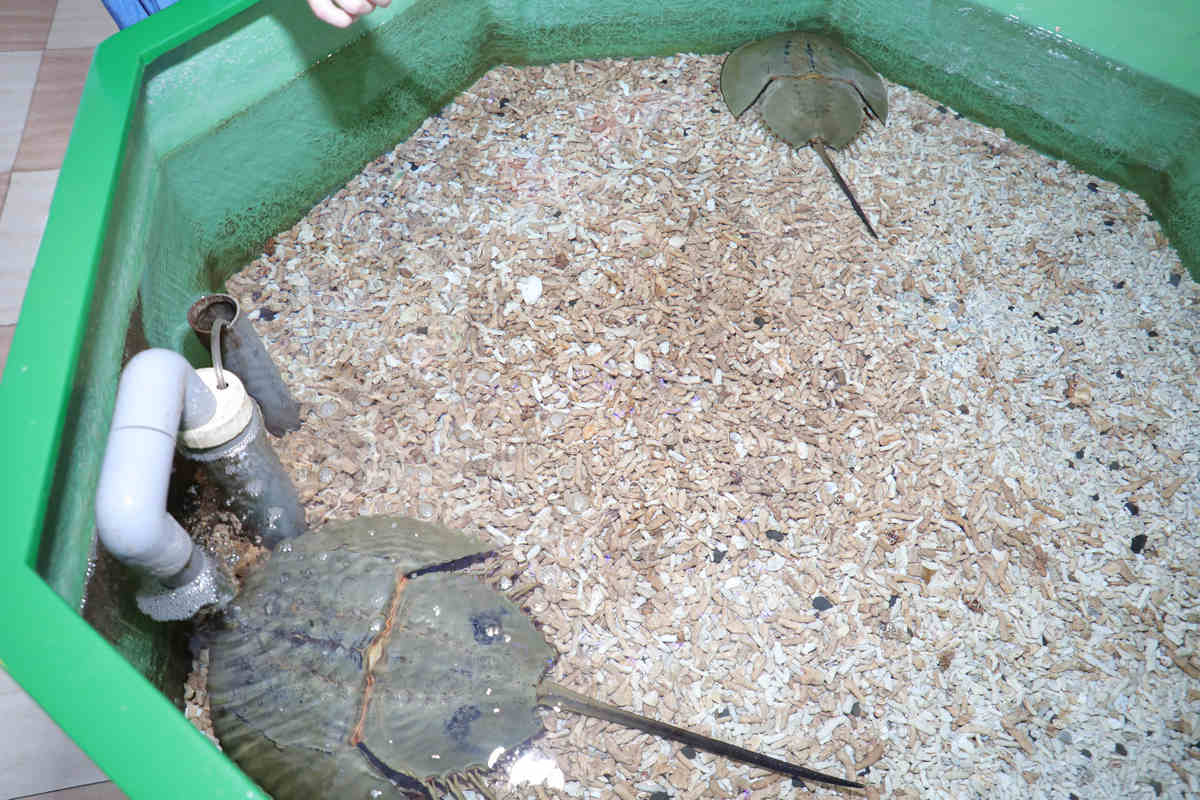 金门半日游,金门适合孩子的旅游景点