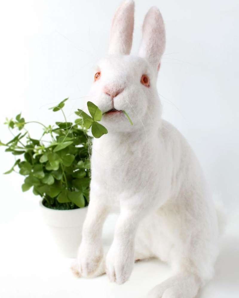 第一眼竟然以为它会动！26个好像有灵魂附体的拟真羊毛毡