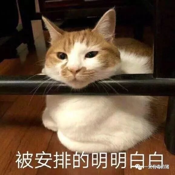 tfboys山寨版,tfboys山寨版叫什么