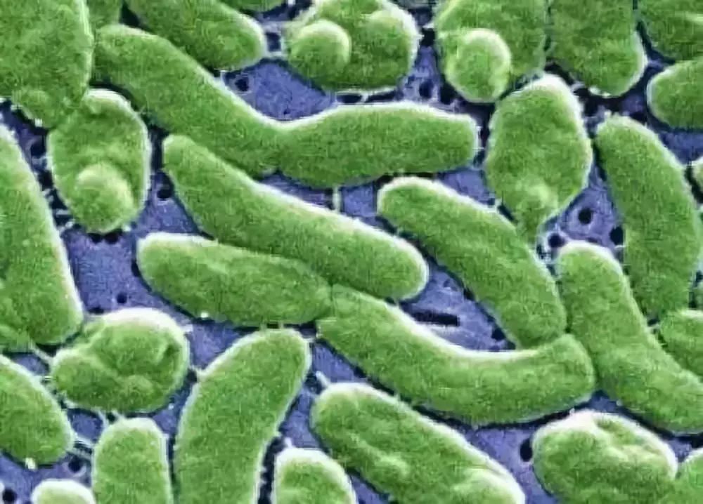 吃海鲜手扎了一下,如果一不小心被海鲜扎了会怎么样