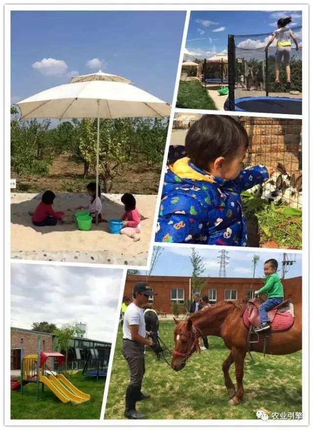 冷清的农家院被设计师折腾坏了成了京城第一精致生态农场