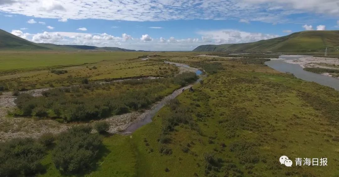 青海湖国家公园征集logo,沙柳河国家湿地公园湟鱼