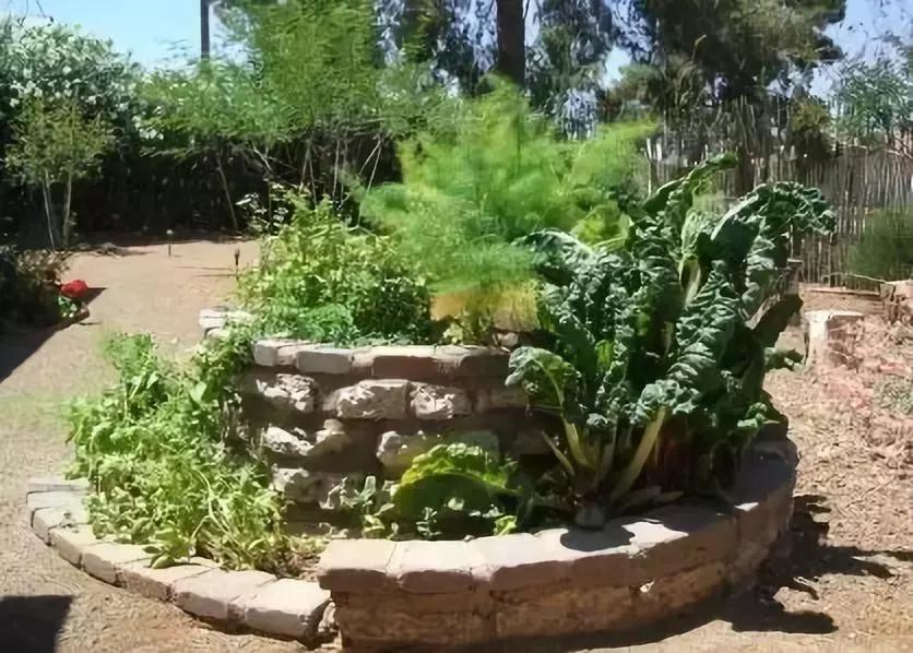 新雨自然学校·第一期Day1：快来建造属于自己的生态花园吧！