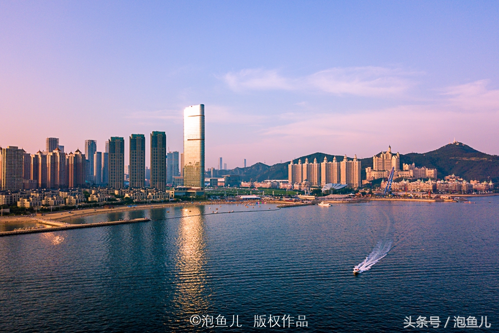 大连极地企鹅,南极企鹅求婚视频