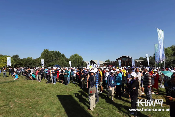 文旅融合绽放,文旅深度结合绽放迷人魅力