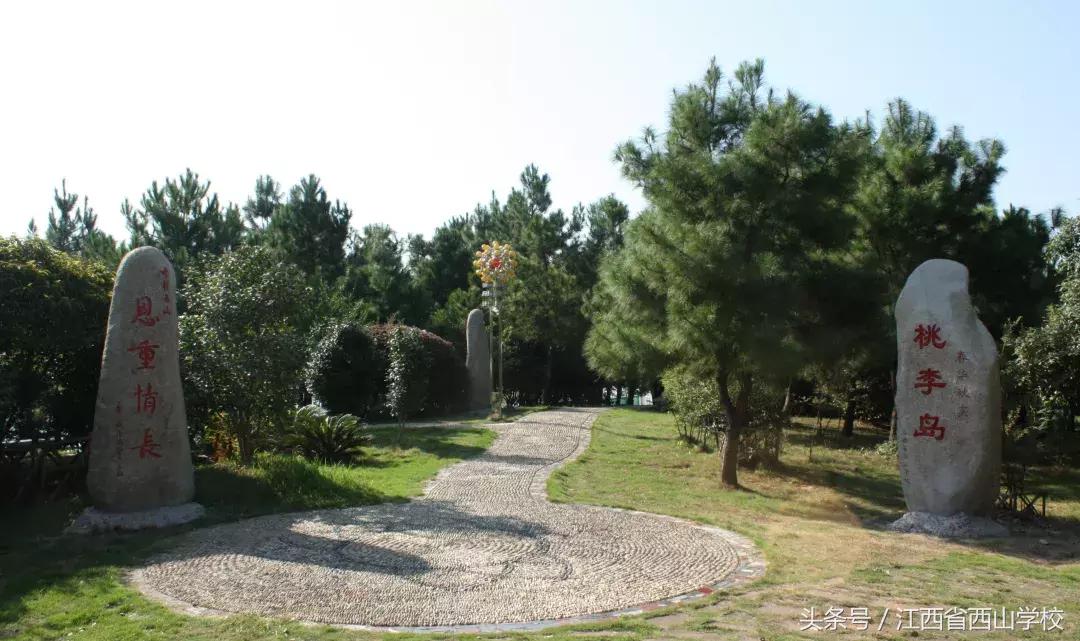 在昆明西山区读书好不好,西山学校到底如何