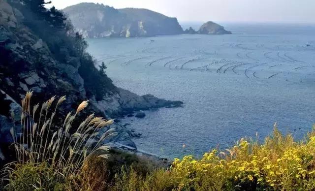 国庆去大连旅游攻略,国庆大连游玩攻略