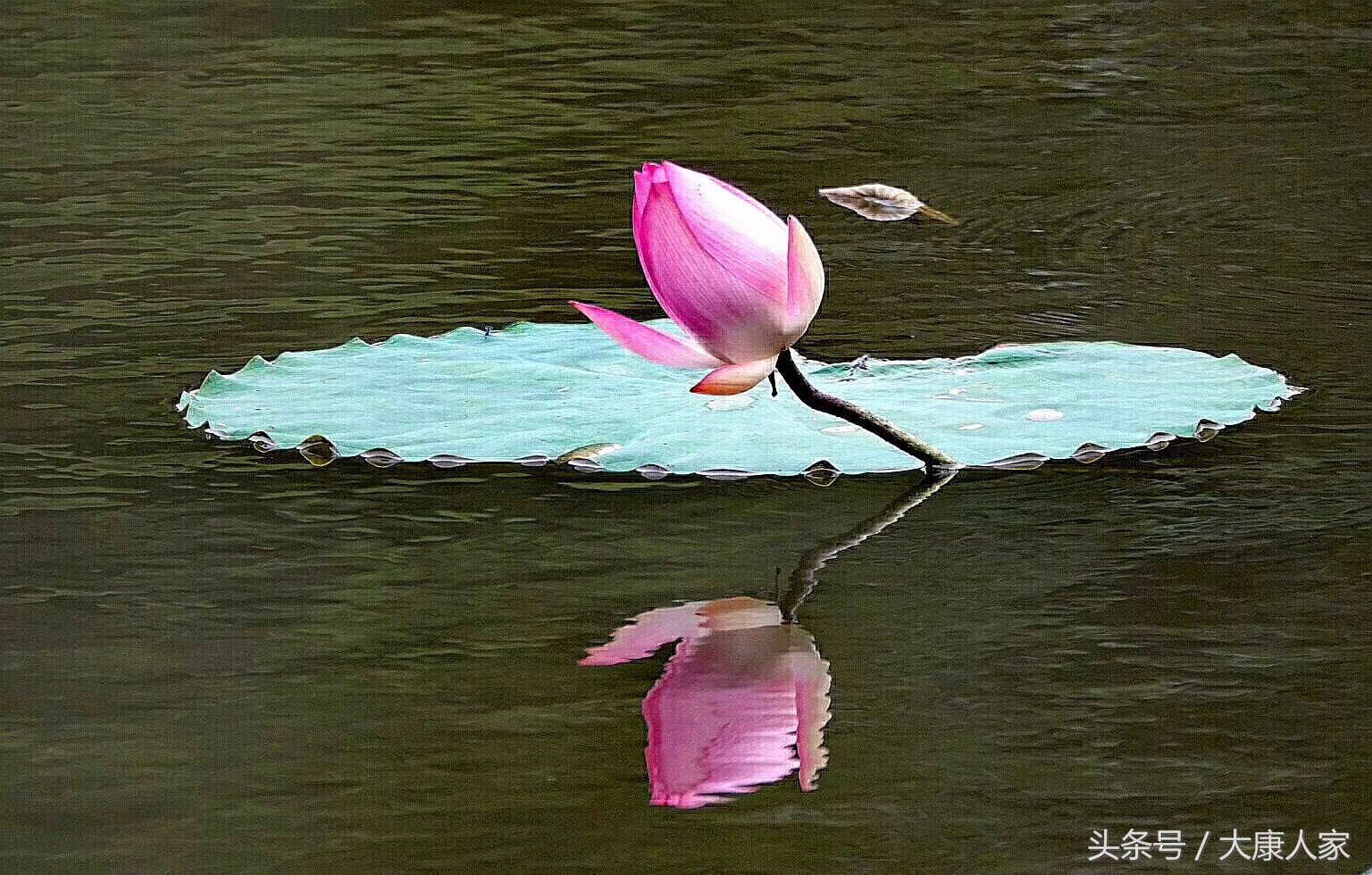 敲打二十年，键盘粘连一颗缠绵心！