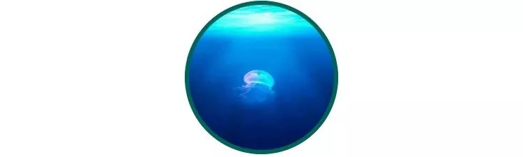 欧诗漫美白淡斑和净白淡斑的区别,真正有效的美白淡斑