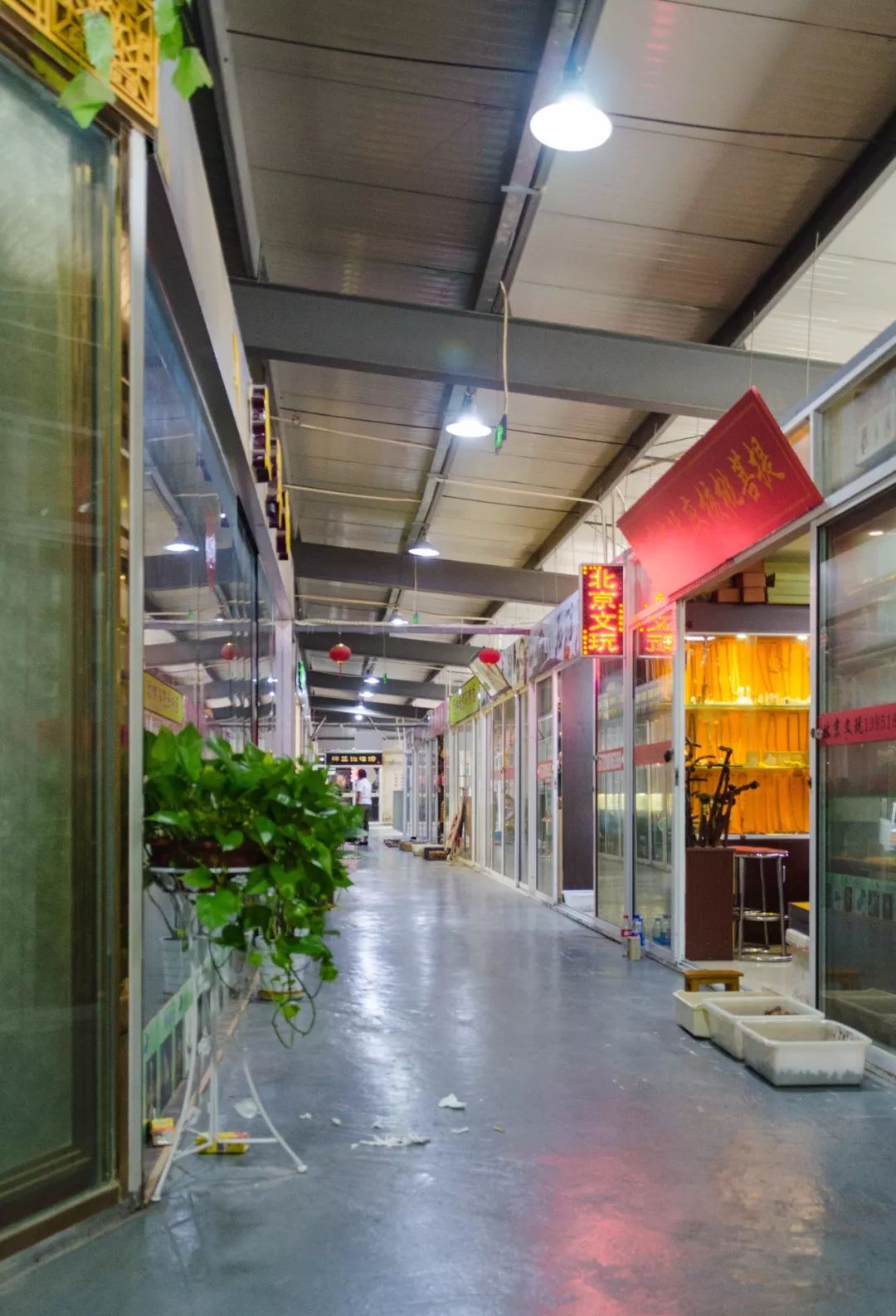 夫子庙花鸟鱼虫市场回忆,夫子庙花木鱼虫市场