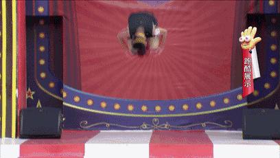 站上终点高台，你会说什么？