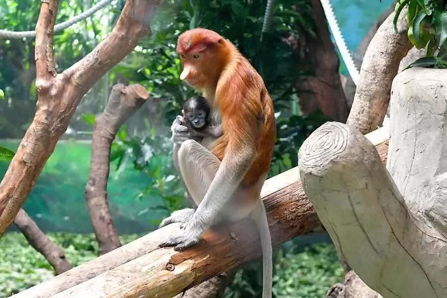 广东国庆假期攻略准备好了,国庆小长假广东