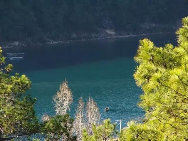 泸沽湖为什么适合一个人去,大理古城和泸沽湖哪个更值得一去