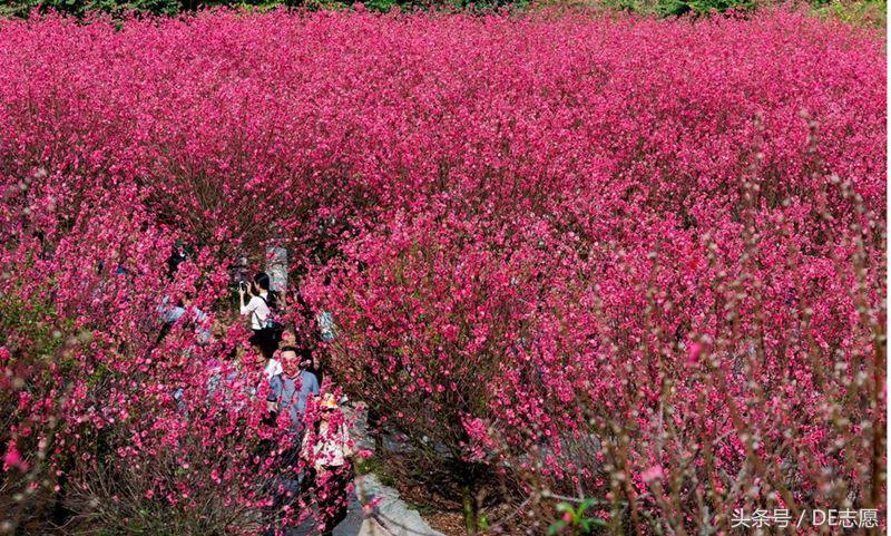 中国唯一一个占一座岛的学校,我国岛屿上有哪些大学