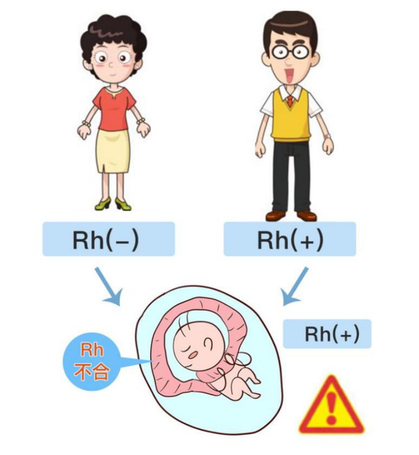 abo熊猫血中最稀有的血型,除熊猫血外什么常见血型最稀有